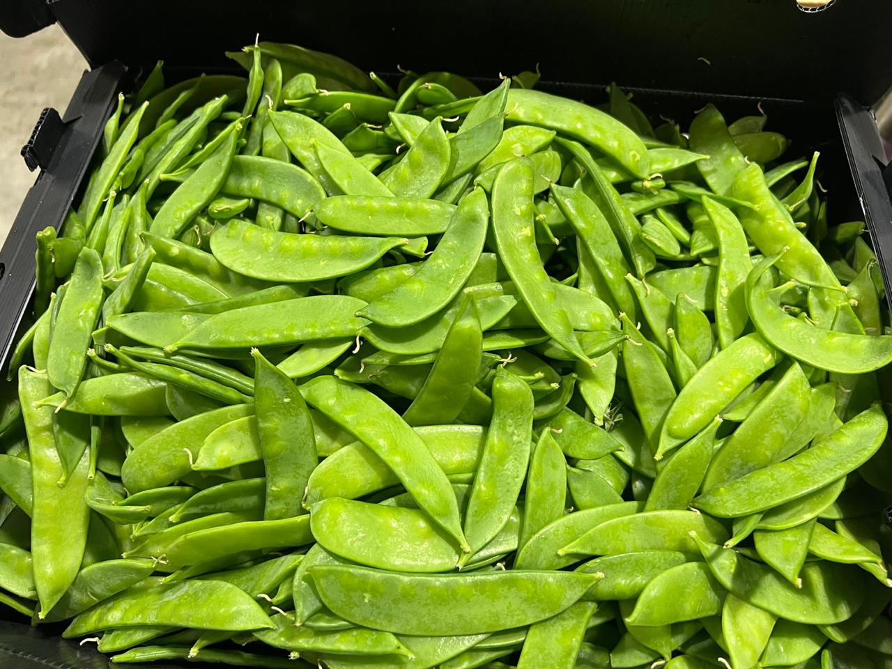 Snow Peas